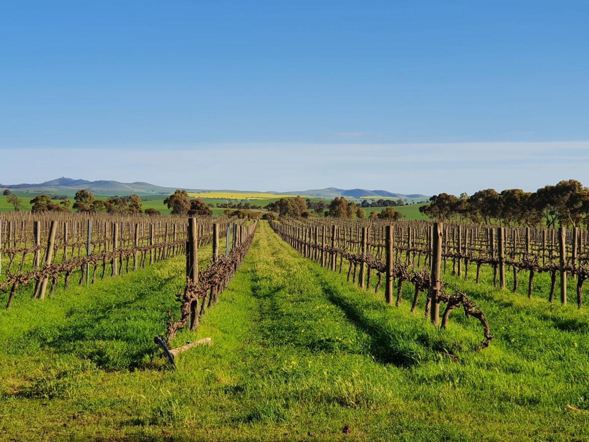 Belalie Wines Villa Jamestown Buitenkant foto