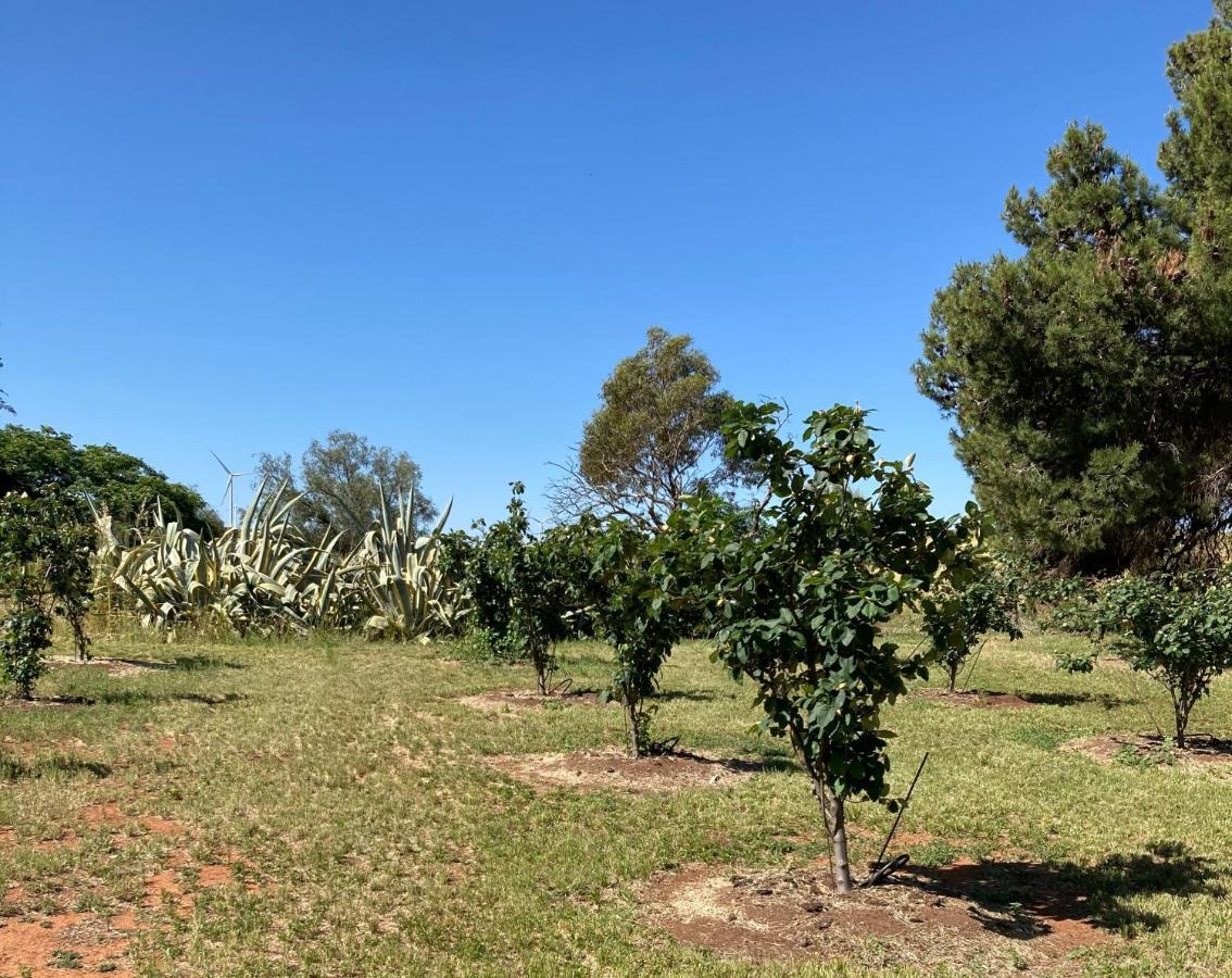 Belalie Wines Villa Jamestown Buitenkant foto