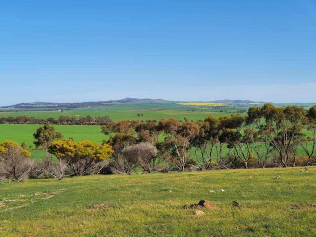 Belalie Wines Villa Jamestown Buitenkant foto